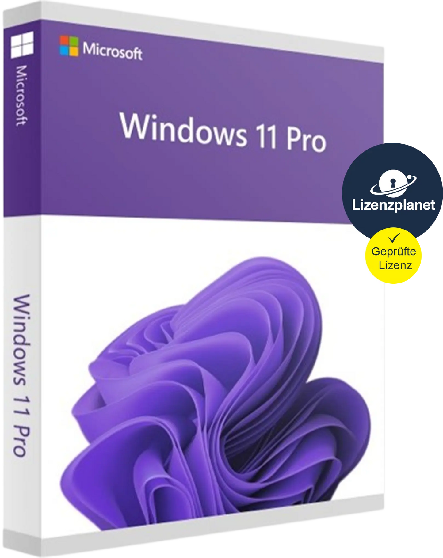 Windows 11 Pro