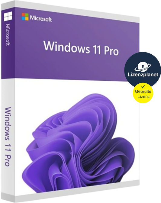 Windows 11 Pro